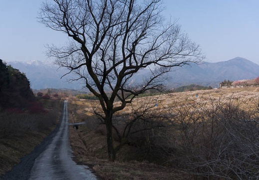 201602280856-DSC04079N6.jpg