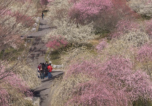 201602280948-DSC05916.jpg