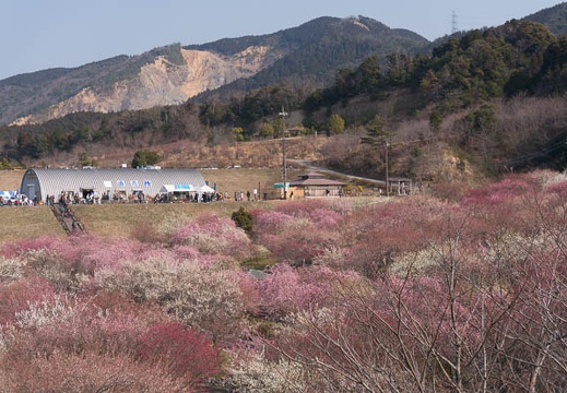 201602280949-DSC04105N6.jpg