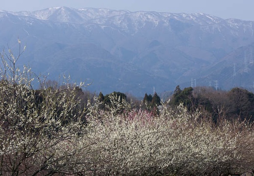 201602281018-DSC05974.jpg