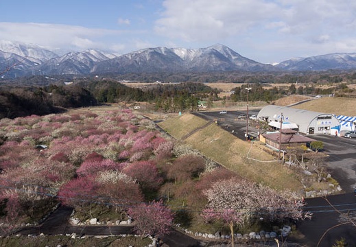 201603020852-DSC09816A55.jpg