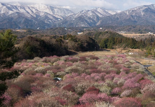 201603020855-DSC06029.jpg
