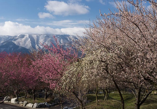 201603020910-DSC06071.jpg