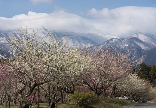201603020943-DSC06121.jpg