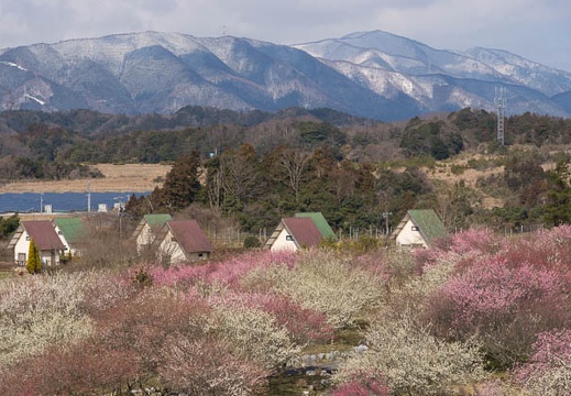 201603020956-DSC06151.jpg