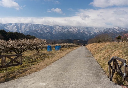 201603021021-DSC06212.jpg