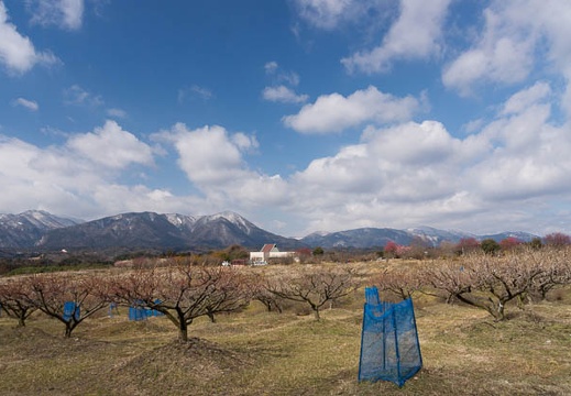 201603021027-DSC06221.jpg