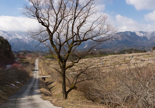 201603021029-DSC06226.jpg