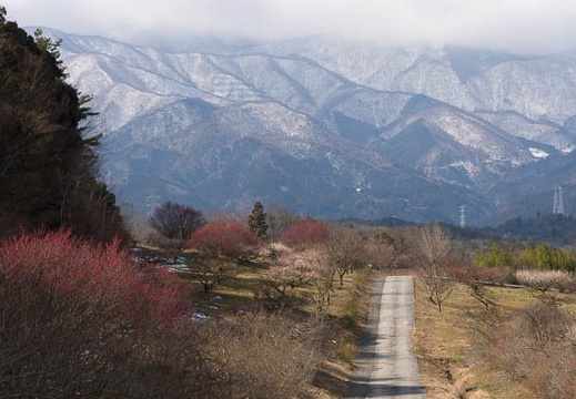 201603021032-DSC06234.jpg