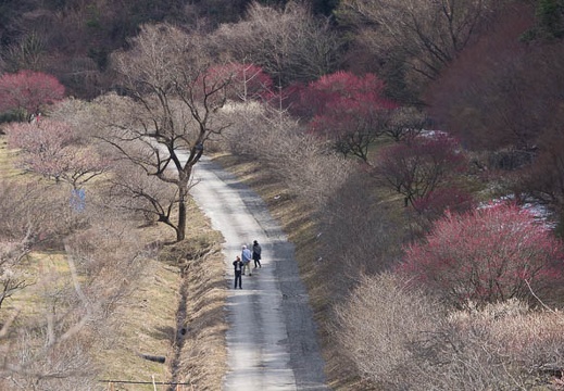 201603021046-DSC09904A55.jpg