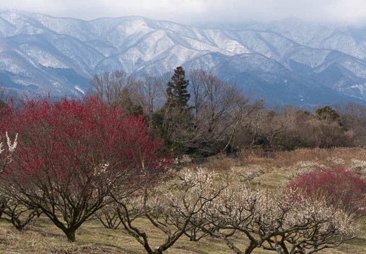 201603021053-DSC06270.jpg