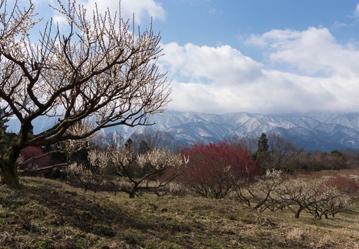 201603021053-DSC06272.jpg