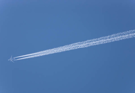 201603041352-DSC06400.jpg