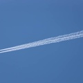 201603041352-DSC06400.jpg