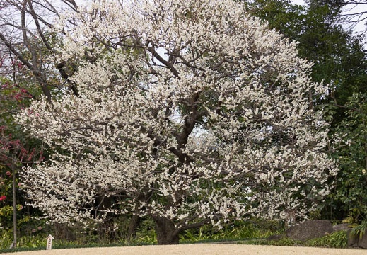 03.05 名古屋