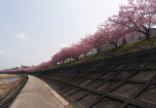 201603081208-DSC04277N6.jpg