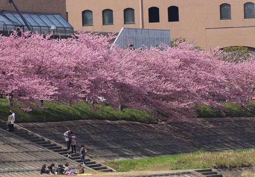 201603081211-DSC07081.jpg