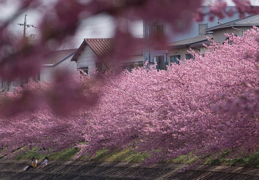 201603081216-DSC07099.jpg