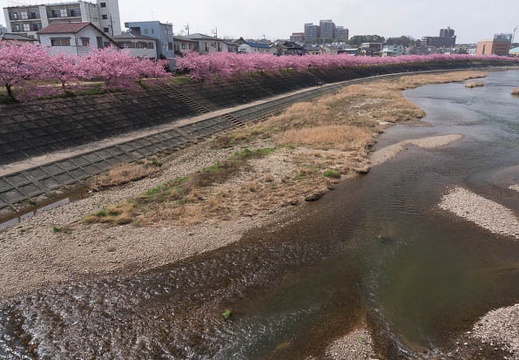 201603081245-DSC04331N6.jpg