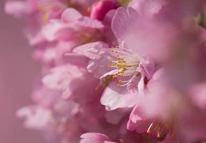 201603081251-DSC07150.jpg