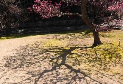201603171252-DSC04560N6.jpg