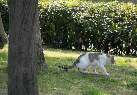 201603231446-DSC07094RX10.jpg