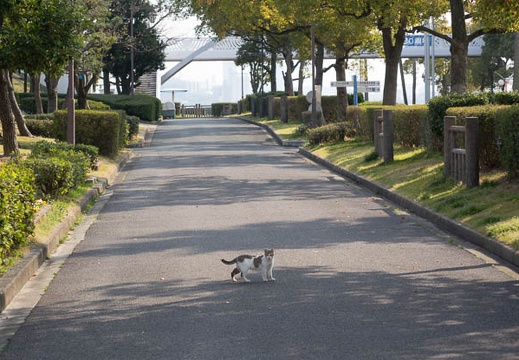 201603231448-DSC07097RX10.jpg