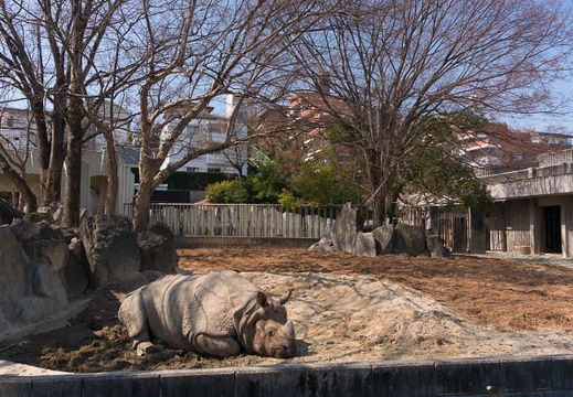 201603241033-DSC04606N6.jpg