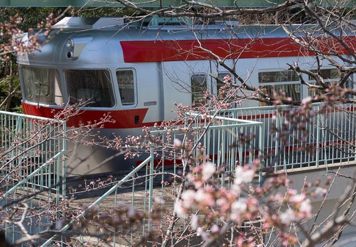 201603241140-DSC09407.jpg