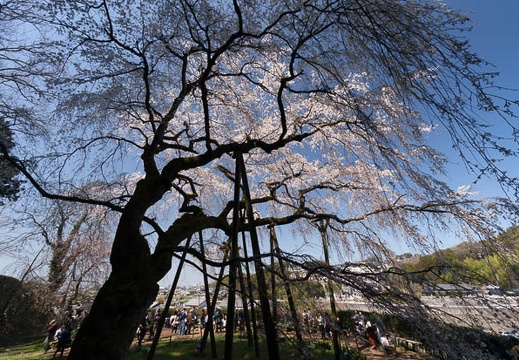 201603261241-DSC04745N6.jpg