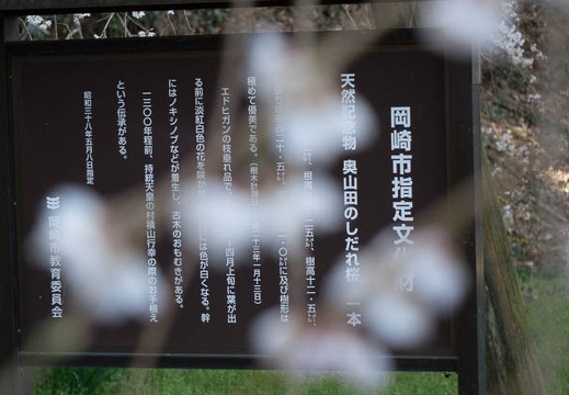 201603261247-DSC07164RX10.jpg