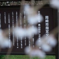 201603261247-DSC07164RX10.jpg