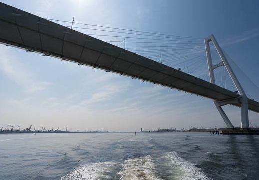 201603271136-DSC03594N5R.jpg
