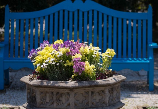 201603271212-DSC09892.jpg