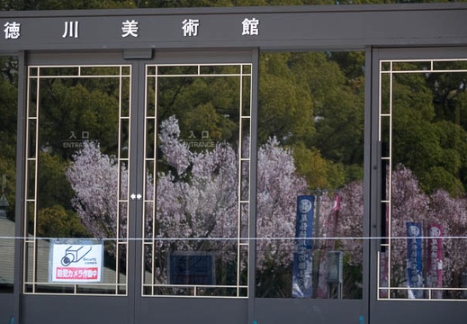 201603281133-DSC07335RX10.jpg