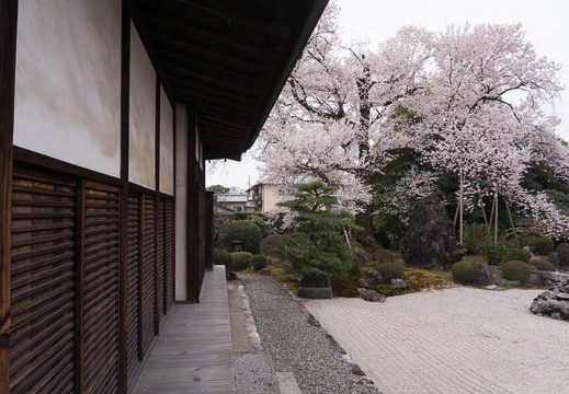 201603291254-DSC04969N6.jpg
