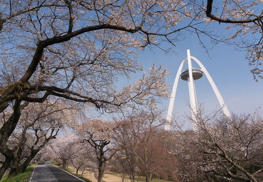 201603300905-DSC05026N6.jpg