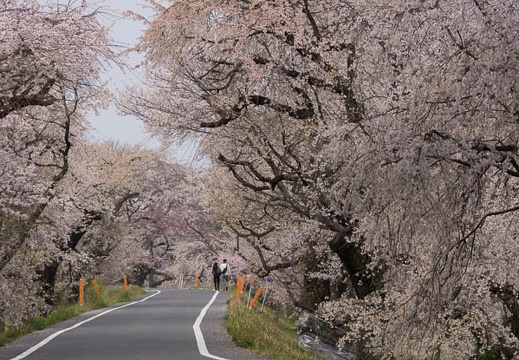 201603301031-DSC00270.jpg
