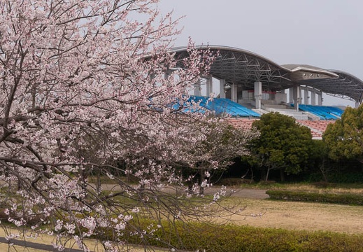 201603301040-DSC05208N6.jpg