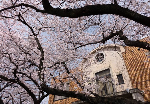 201603311115-DSC07483RX10.jpg