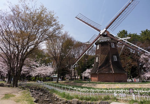 201603311131-DSC07503RX10.jpg