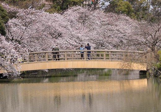 201603311137-DSC00382.jpg