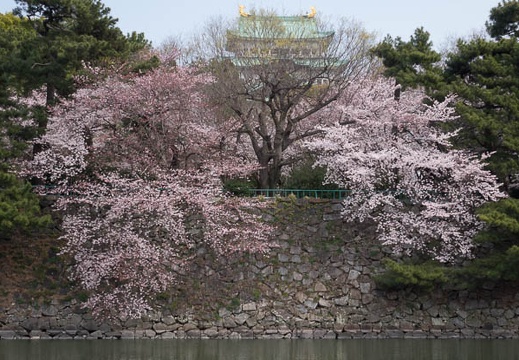 201603311207-DSC07570RX10.jpg