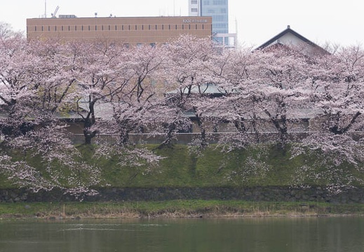 201603311211-DSC00408.jpg