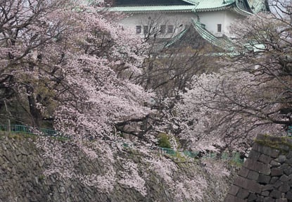 201603311214-DSC07589RX10.jpg