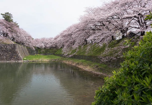 201603311224-DSC07621RX10.jpg