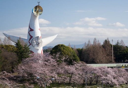201604020805-DSC07883RX10.jpg