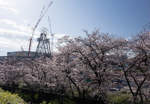 201604020818-DSC07917RX10.jpg