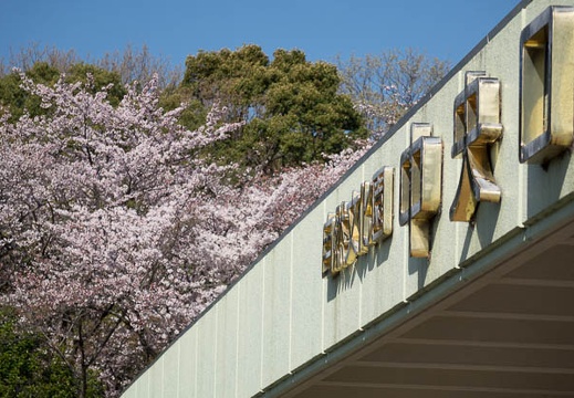 201604020827-DSC07929RX10.jpg