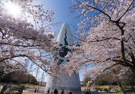 201604020939-DSC03618N5R.jpg